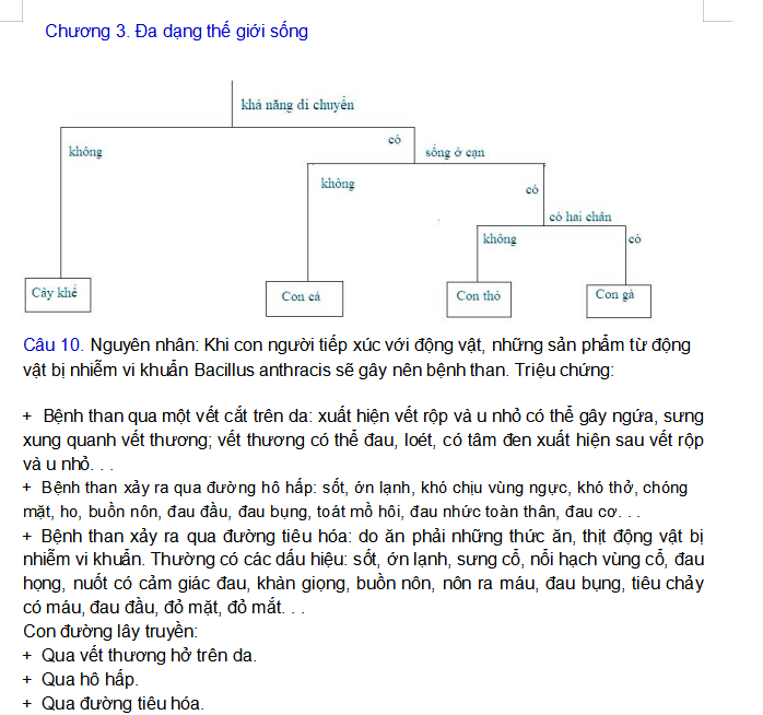 đa dạng thế giới sống động vật